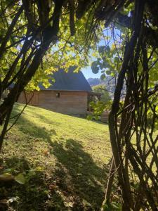 Vue de la cabane 